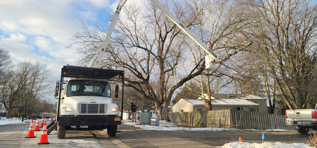 bucket truck with crane lifted in the air next to a tree during winter time