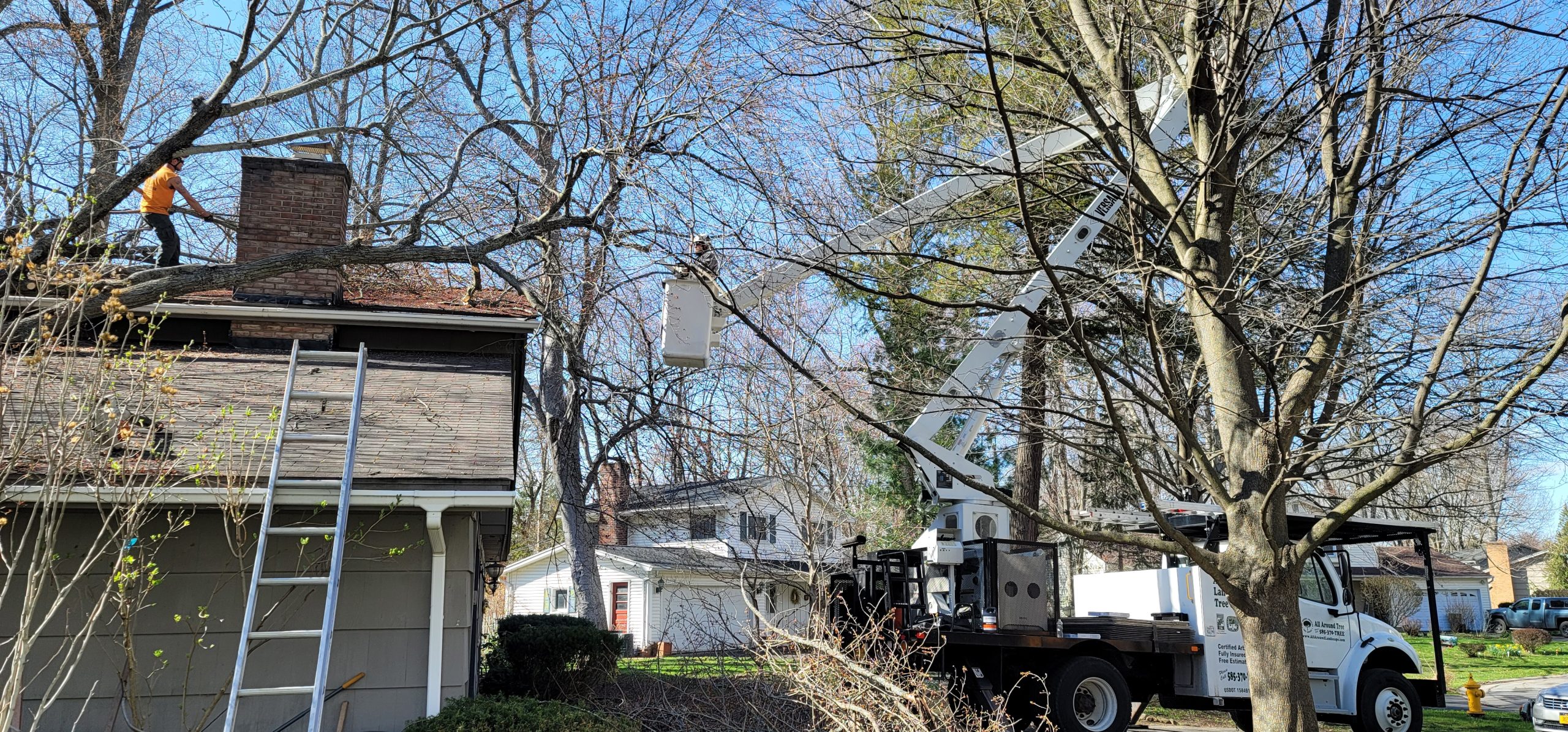 worker in a crane working on a tree next to a home